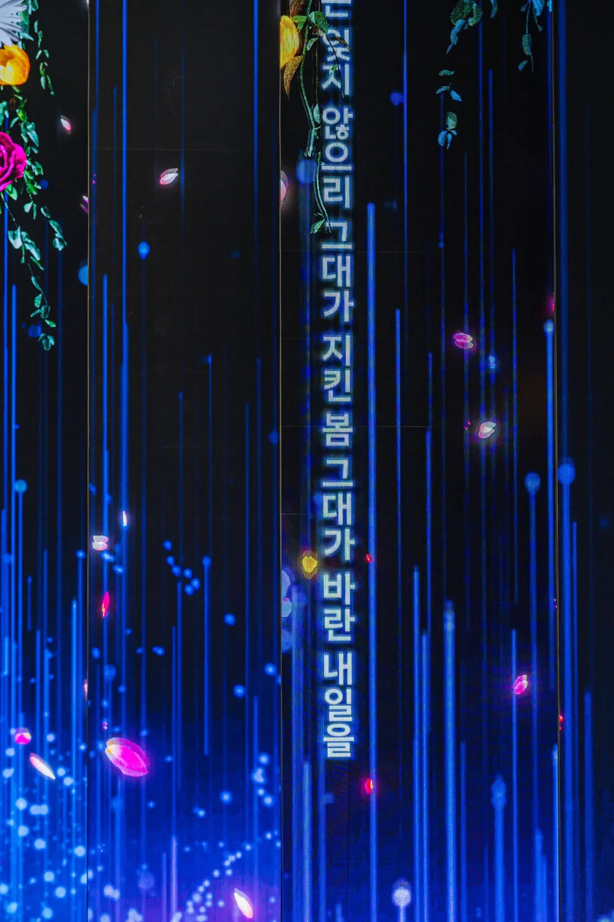 098ef319b48a6df523eee93fc401aeee57ea55e7be95d644c0db15059eac37cc805552
