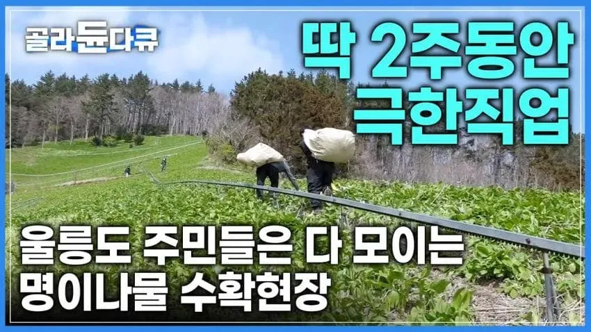 20bcc834e0c13ca368bec3b9029f2e2db9d80a434ee5519bbbe1802b31