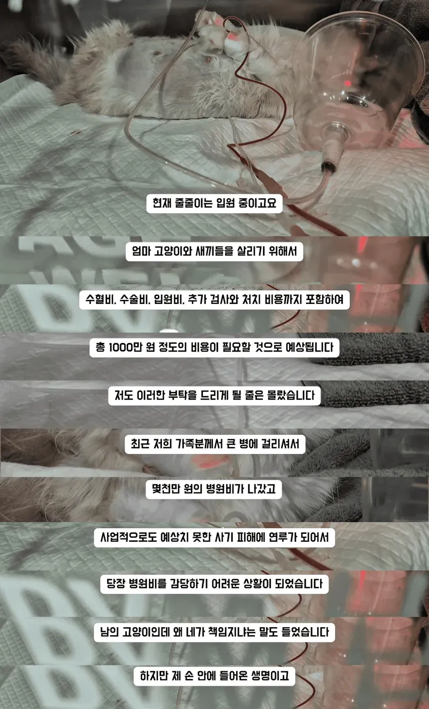 7be88176bd876be87eb1d19528d5270356f3448b23281699