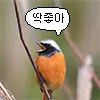 딱좋아