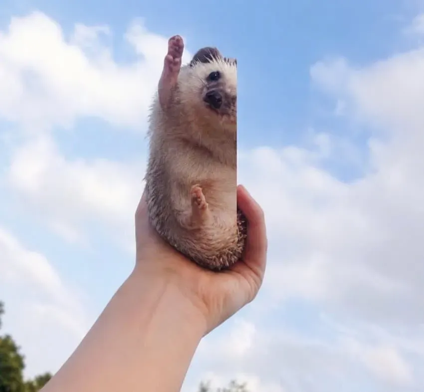 썸네일