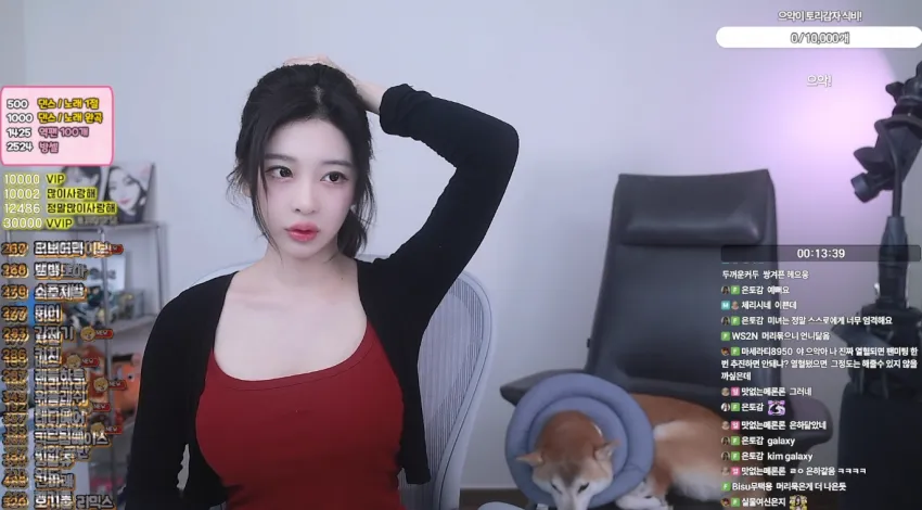 썸네일