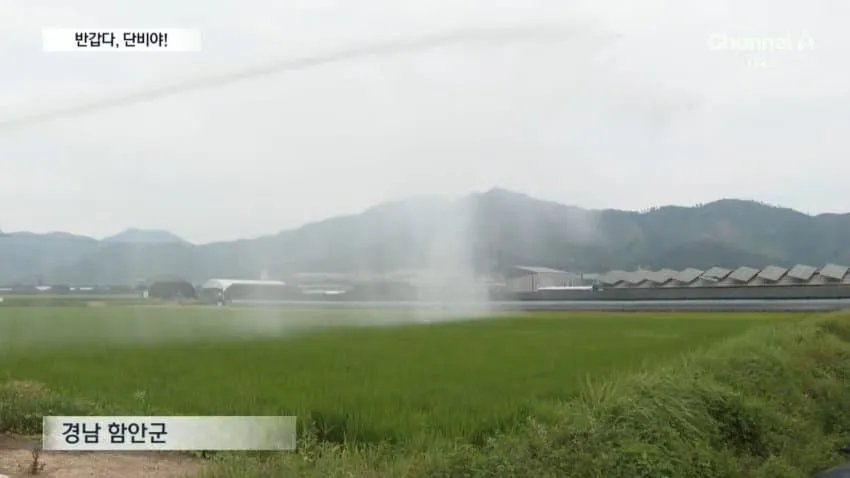 28b9d932da836ffe38e88fe346897d6fe7dc95f74d31eecf019c16e428040585c134