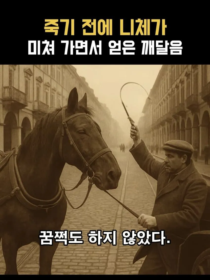 1ebec223e0dc2bae61abe9e74683726d3dd4a3cbed778aa193a2613df9b5bd2efe1eeb88d4e798e47956d844bdde4106ca2b