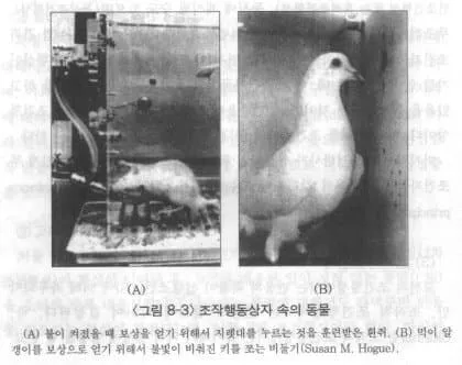 79eb857ec7f71df7239ef7e2329c701ed4002c640345749b815d2aff8ad53ecc9aa2cce9f406eb0de1930862180a96f2dca11b