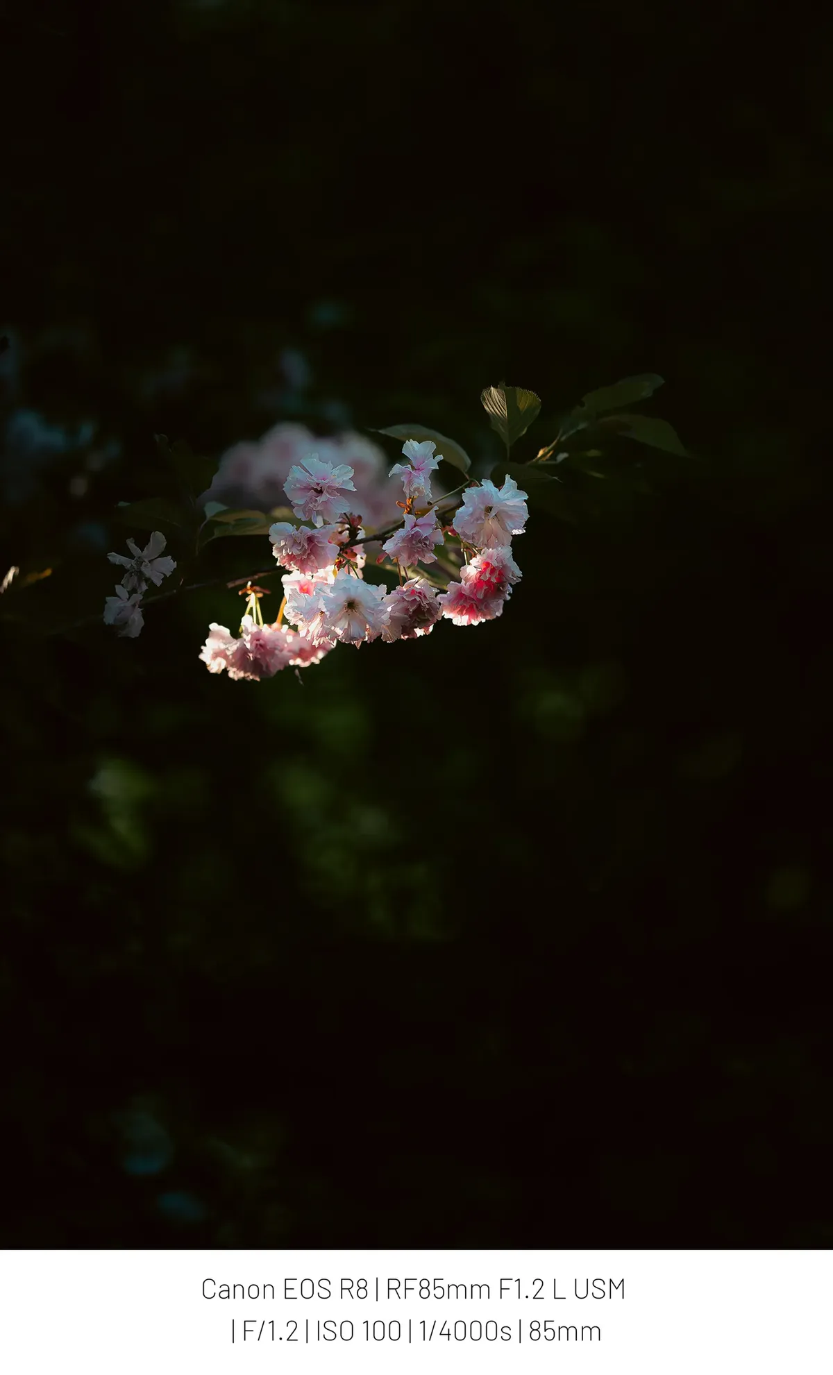 0490f719bc8769f020a8d3b706f11a393d44f9857f6f7edbd5