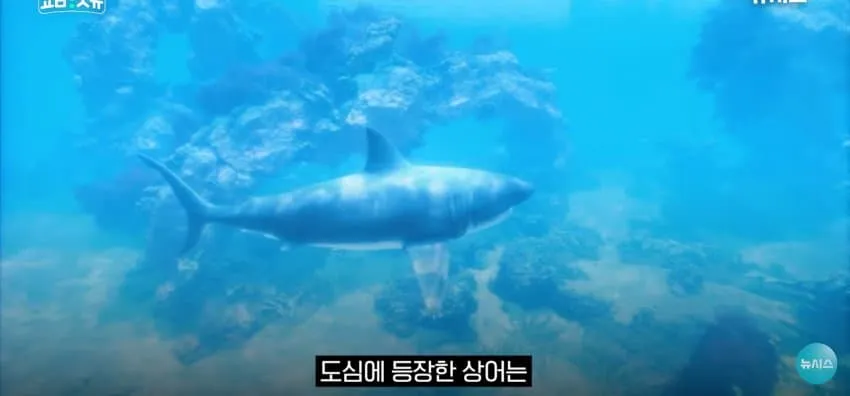 1ebec223e0dc2bae61abe9e74683726d3dd6a5cbef7c8aa493a6613df9b5bd2ed050e9d0e74ed63f1bd4bb372d93f2db1f4f