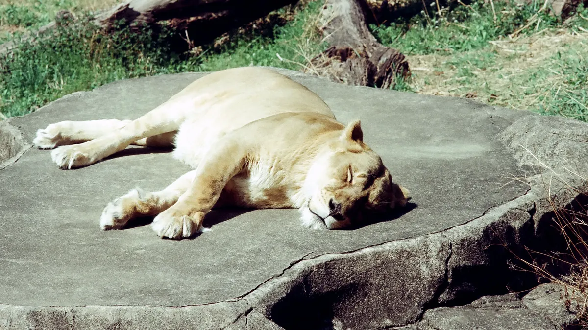 7bf3c723e7c218986abce8954385706b0b233d
