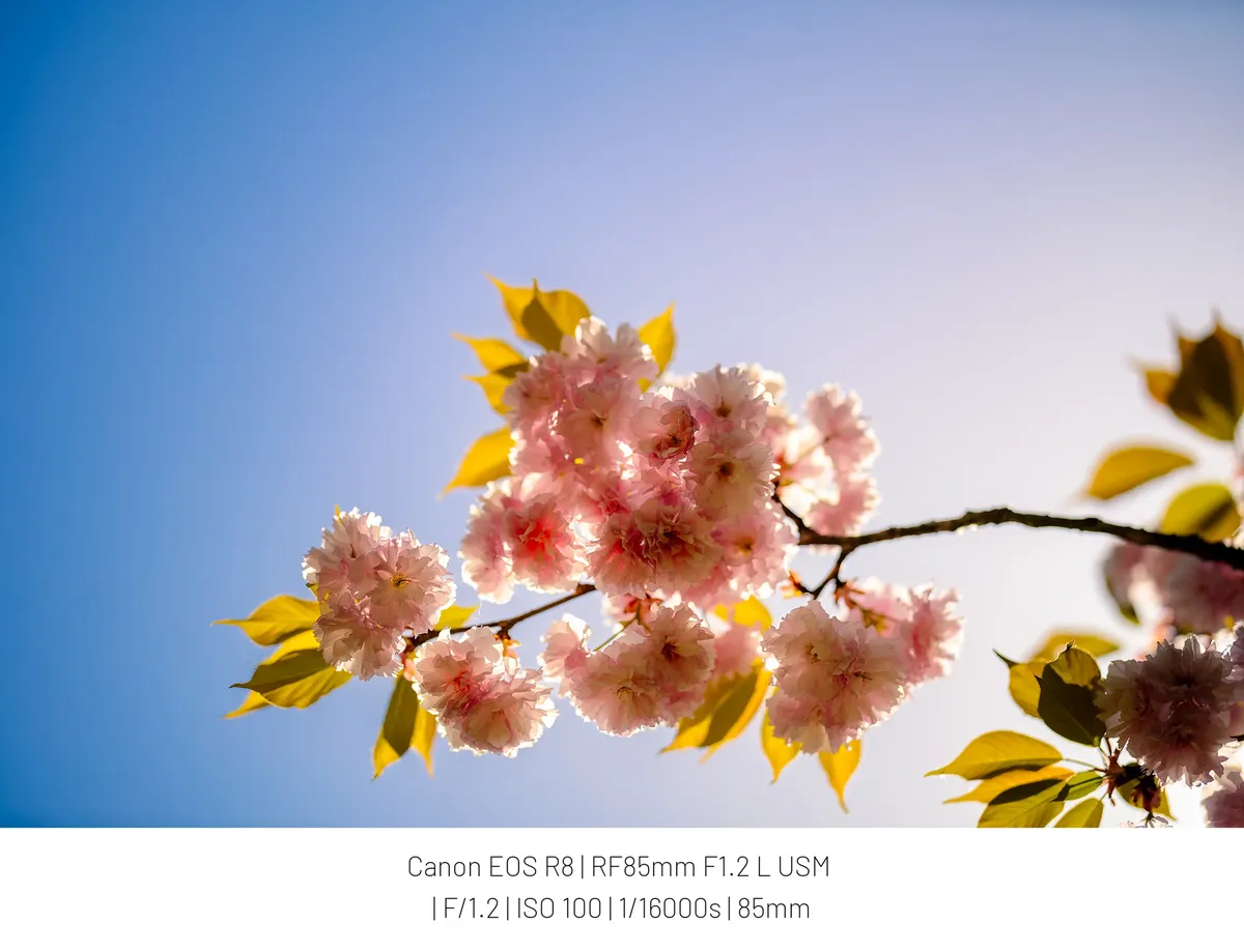 0490f719bc866bfe20a8d3b706f11a398dd97ee22a47f7effb