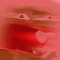 52