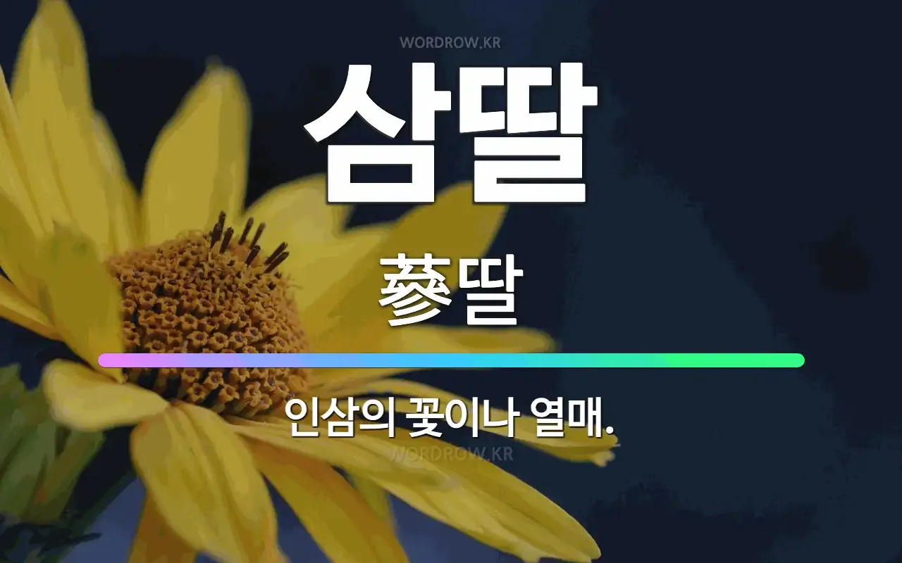 썸네일