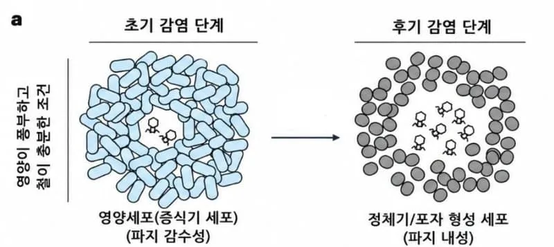 28b9d932da836ffe36ee81ed4e877369a01a6536c0383fcfcdc7a6e01d8b7e0393