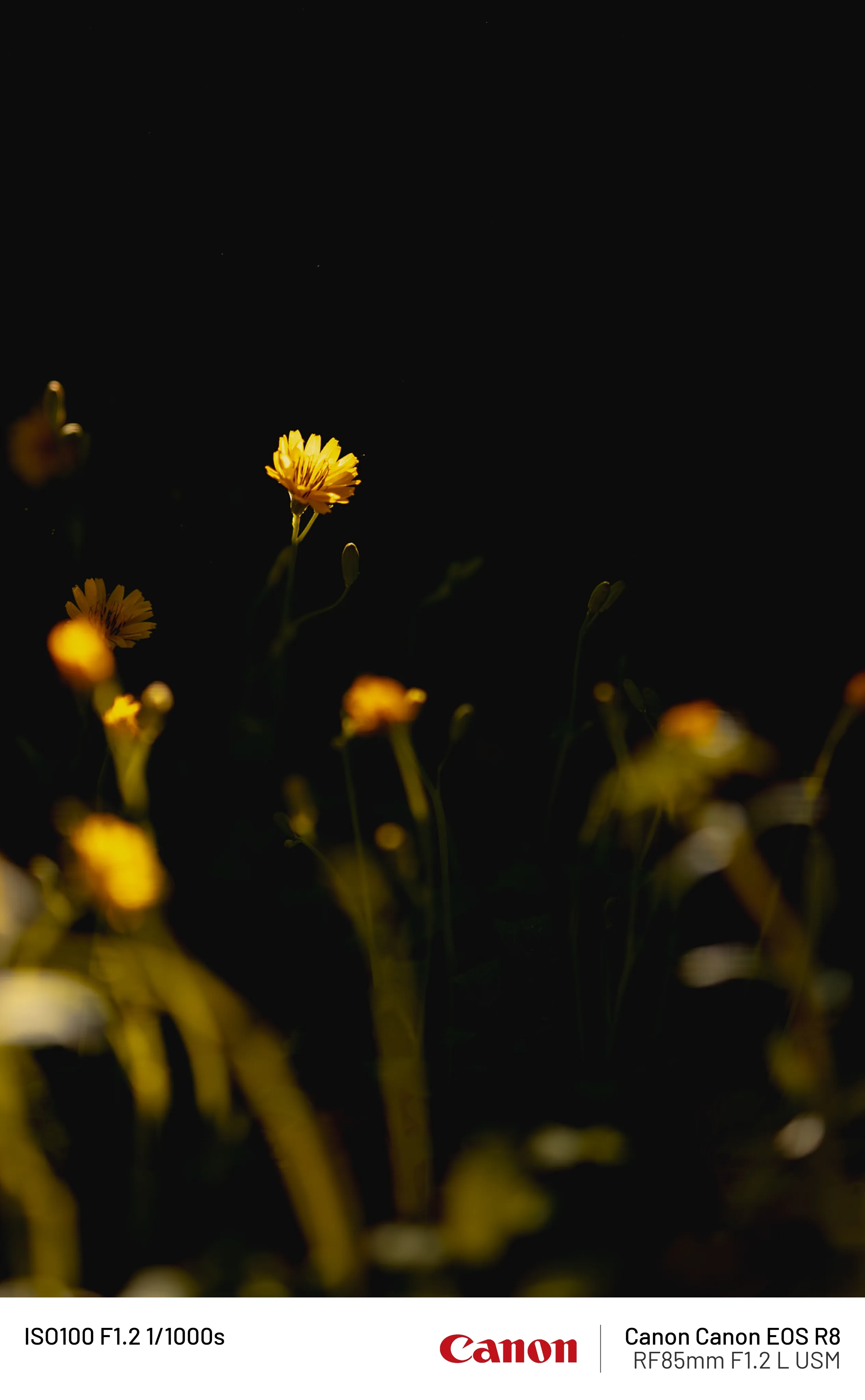 0490f719bc8460f420a8d3b706f11a396efd01f3e3b4875dd0