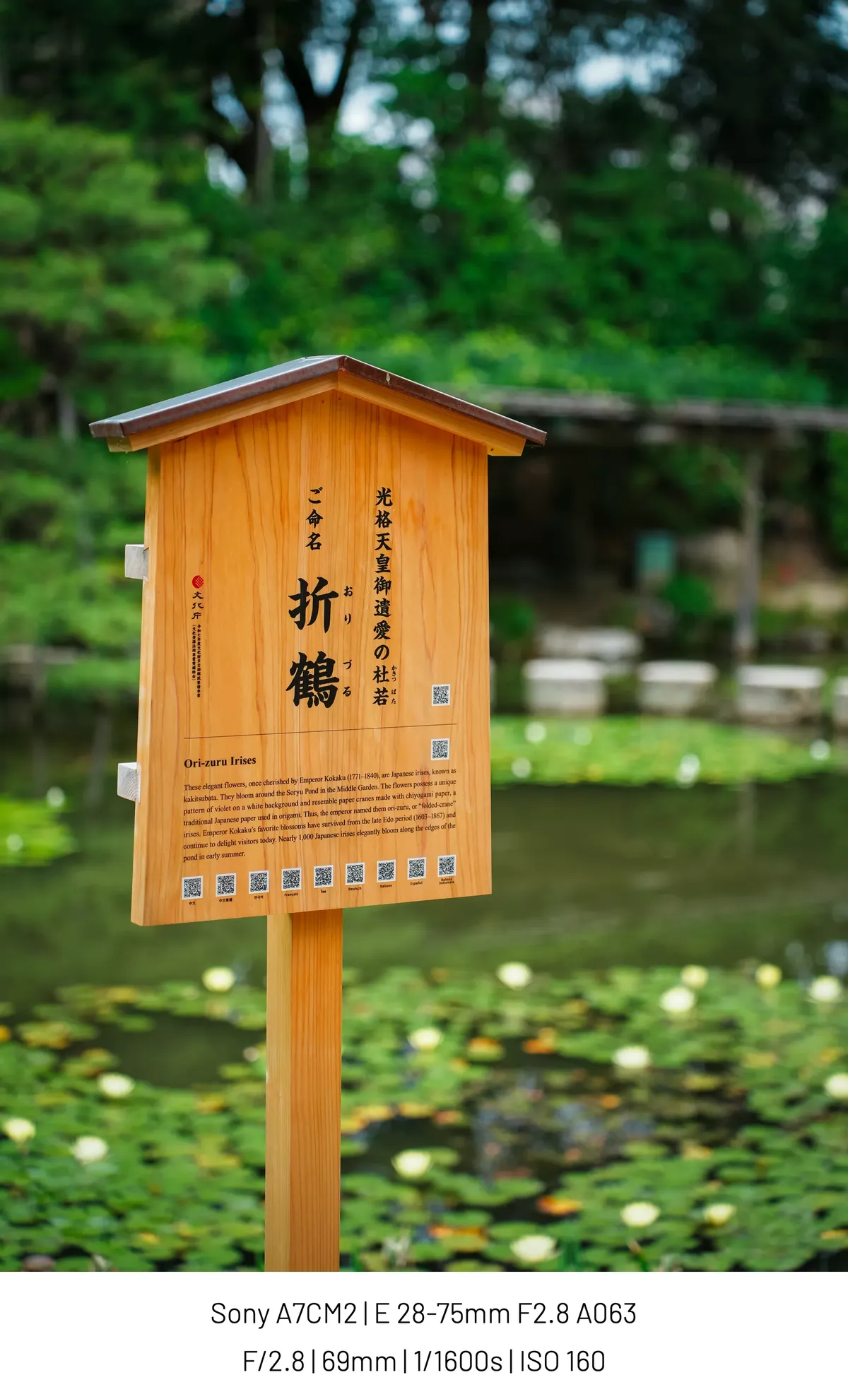 1dbcd422ecd707f43eed80e540807402727487e0efa027f45046647ee8ebadb9e45a018b276e7d92a51ce128