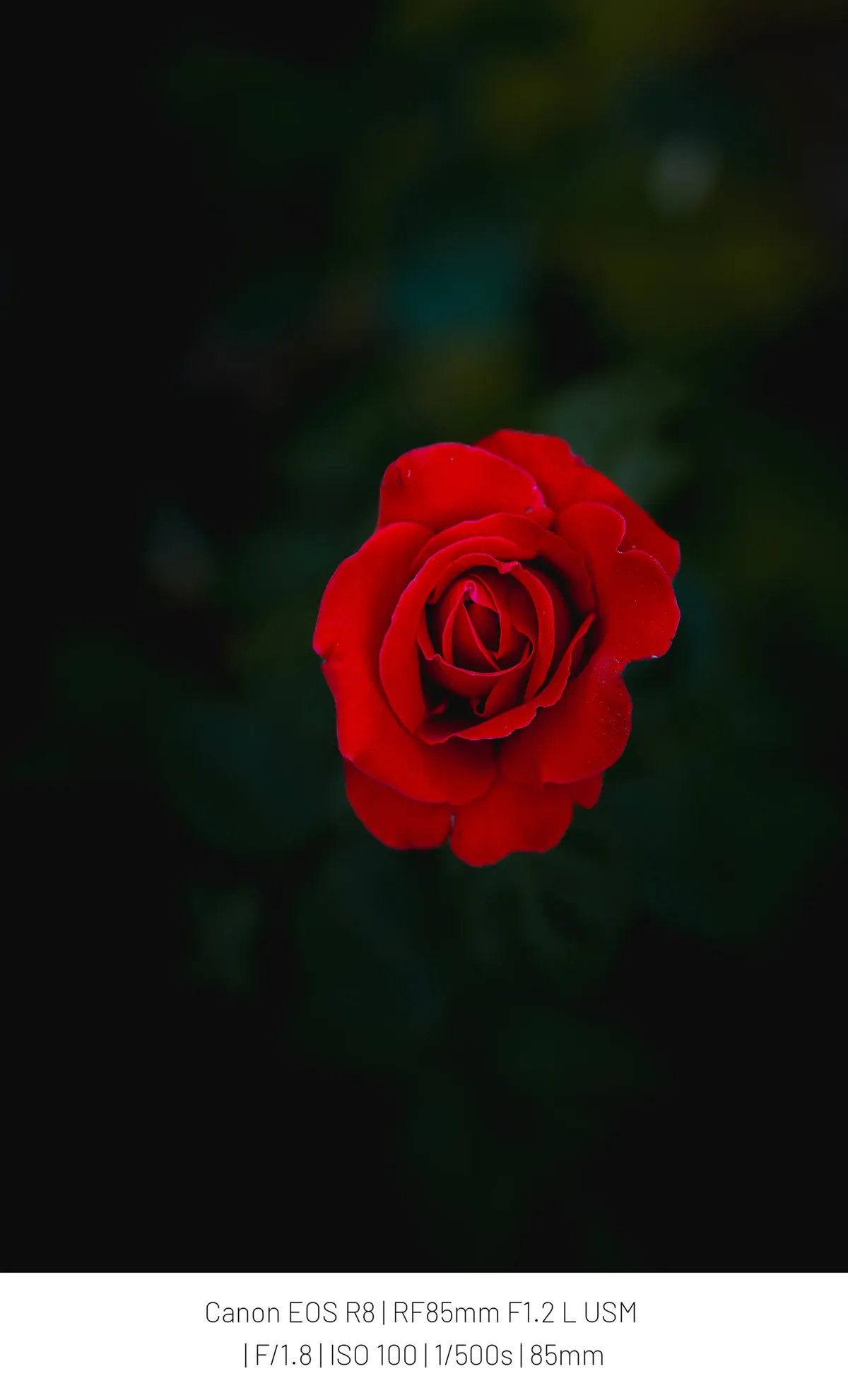 0490f719b58061fe20a8d3b706f11a3916ae2c53d5fd5c166b