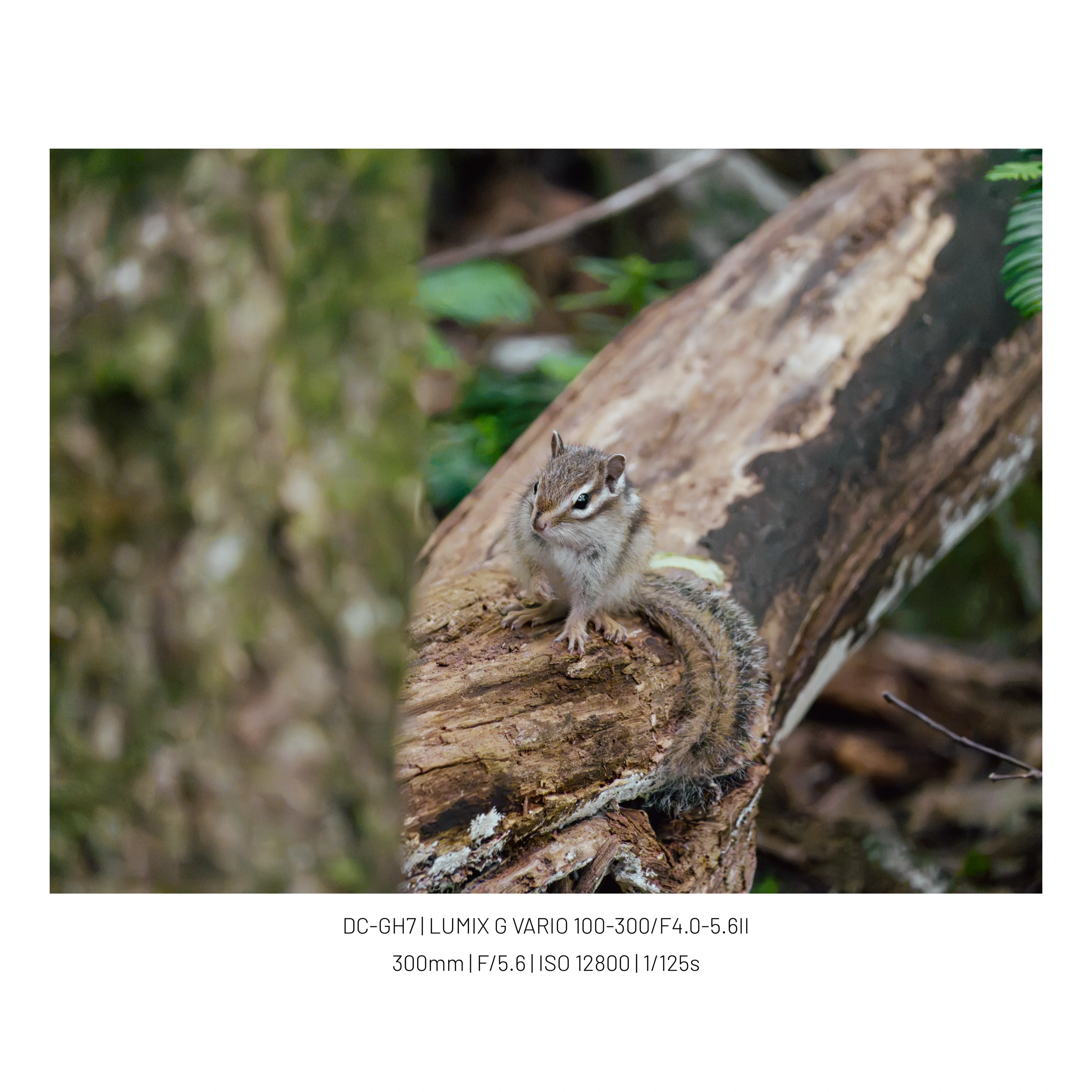 74ebf476b68b1af6239d8793339c706b02697f1c540dab8ad91dae824ce8d97ef5d41335384e3053b4d5459bcf28e482b45c655904e3