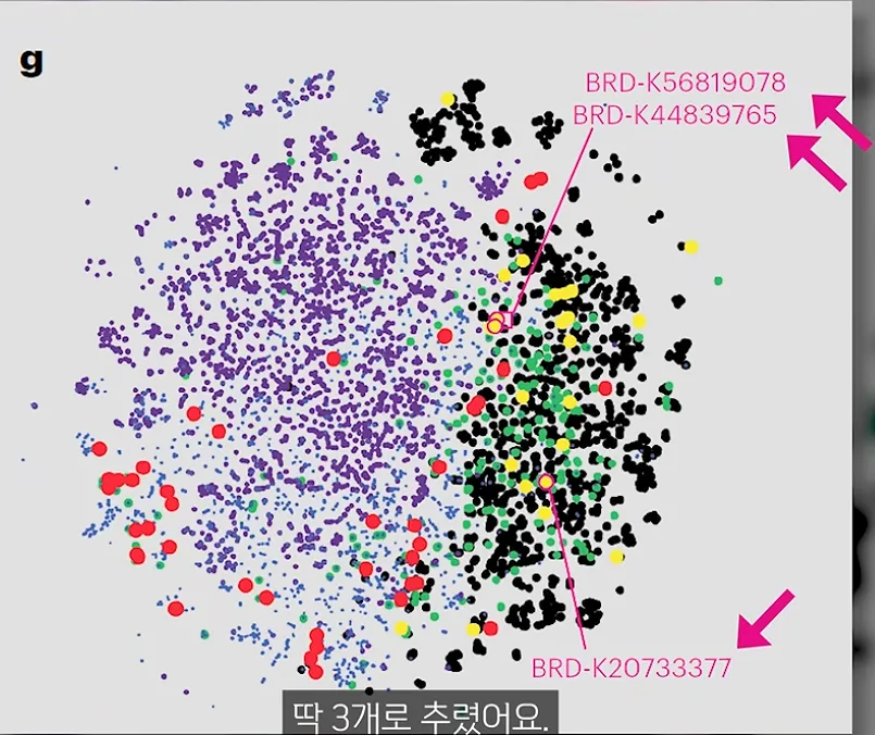 24b0d121e09c28a8699fe8b115ef046b6d6a923523