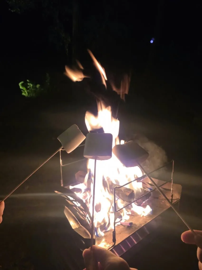 7fed8270b58a68f551ed87e4438472735e40ad00ff304a224fa0ee61168d208c