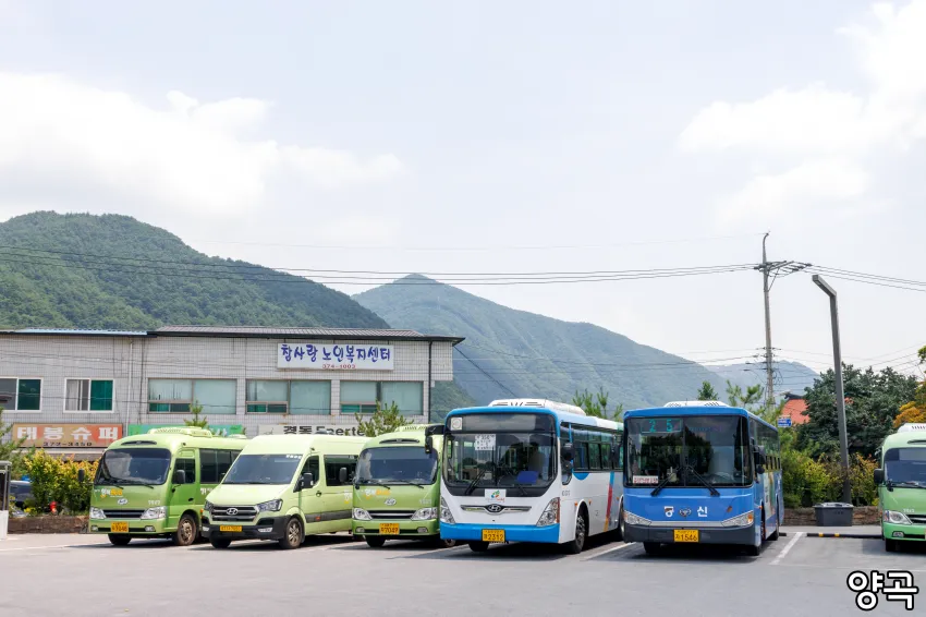 0490f719b58361f620afd8b236ef203e69028fc31156005526b5