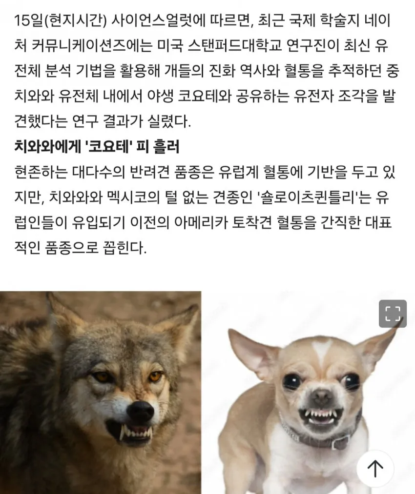 74ec8077abd828a14e81d2b628f1776a4fccf3ea