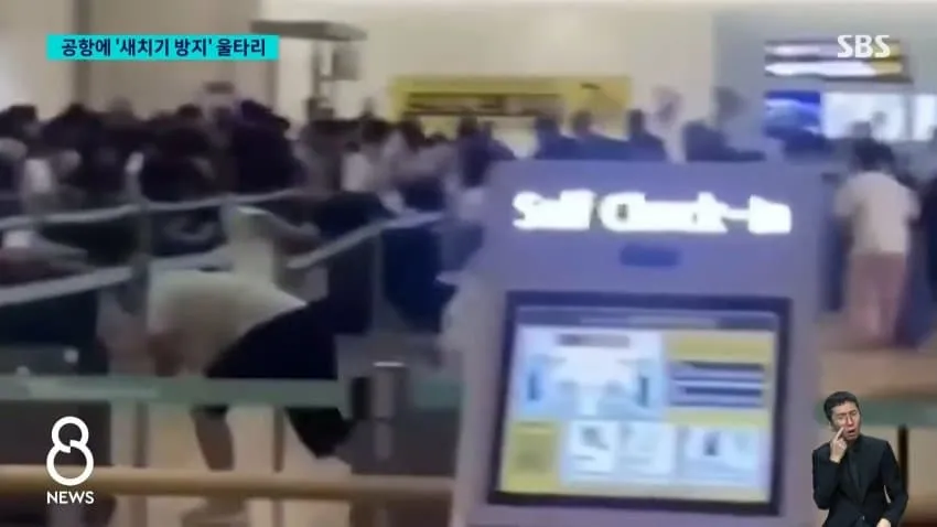 28b9d932da836ffe39ee82e74080736be9af72935195a1242af4fea6e01b8cd75389