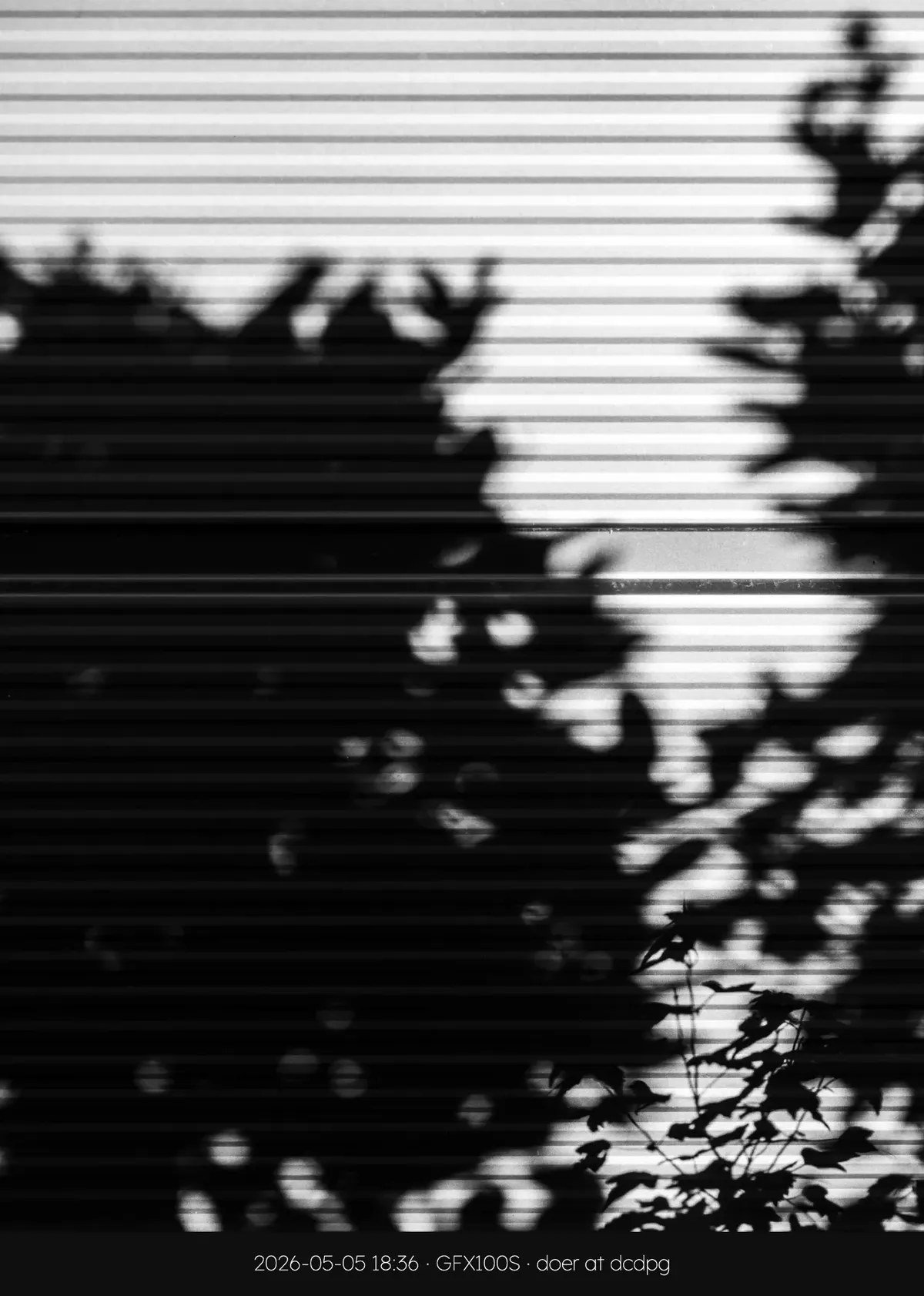 129af61ebd876ef720a8d3b706f11a395f09264c5dd20af8f1