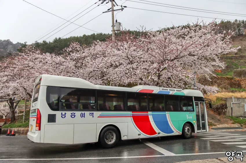 0490f719b58061f020afd8b236ef203e7bb582b25a45bce73a4e