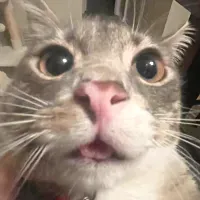 2 2