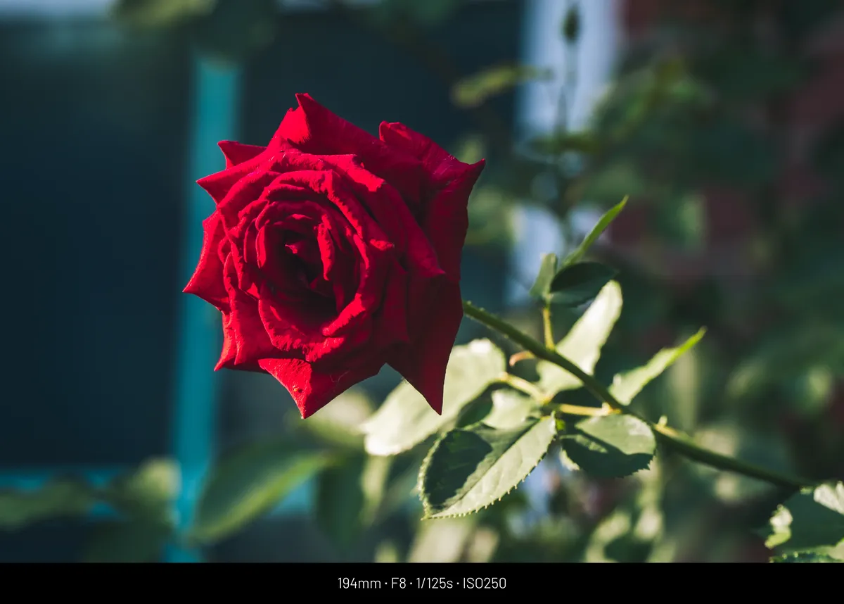 7ded906eb49b76b16bbdc69528d527037b73bf8d1ad3d0
