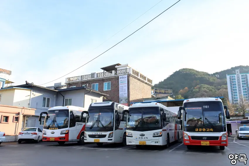 0490f719b5826af320afd8b236ef203e520d40879da1a8b93430