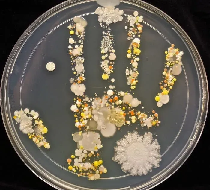 7dea827fb5876bf53fe7d0b34fd375643d44a7a722df39dcb5f2ced12f778edc9ef10fe881a5fbe43fbae1377a1ad953d89c7ac8c30cdb