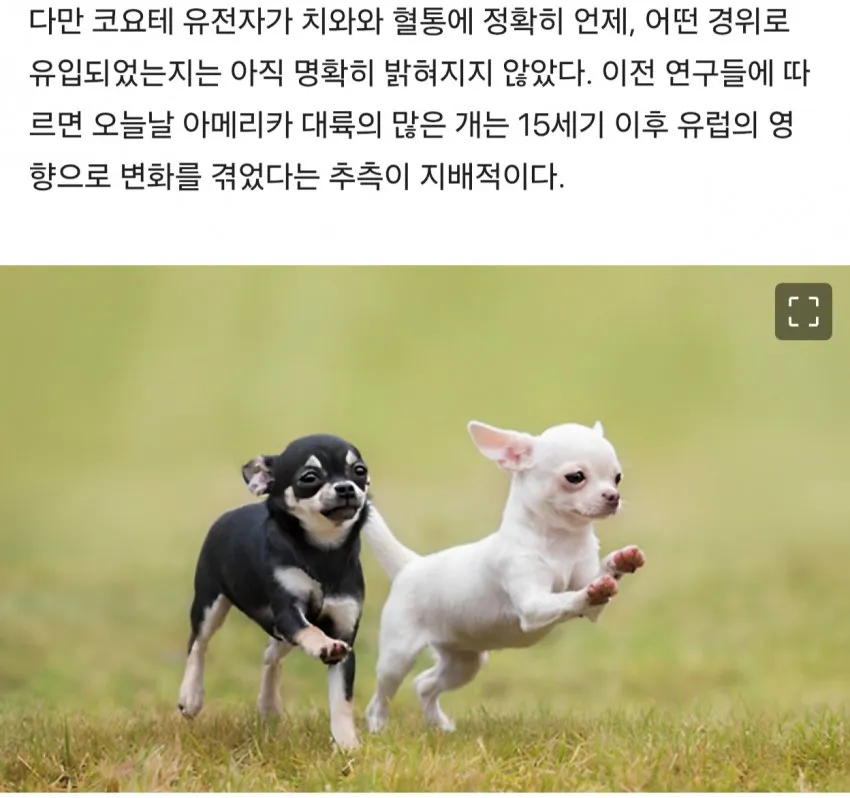 74ec8071abd828a14e81d2b628f1766ae724c6fa