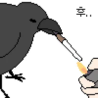 11 11
