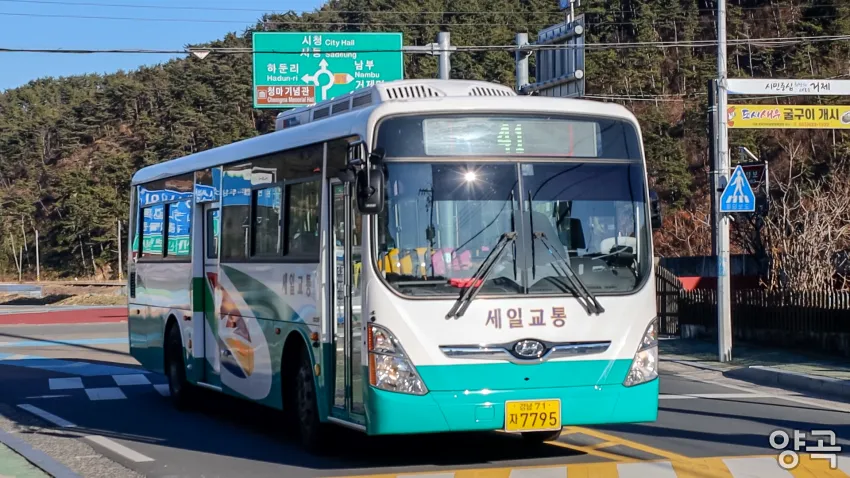 008bf919b58068ff20afd8b236ef203e15fa7f2ae1b405931a
