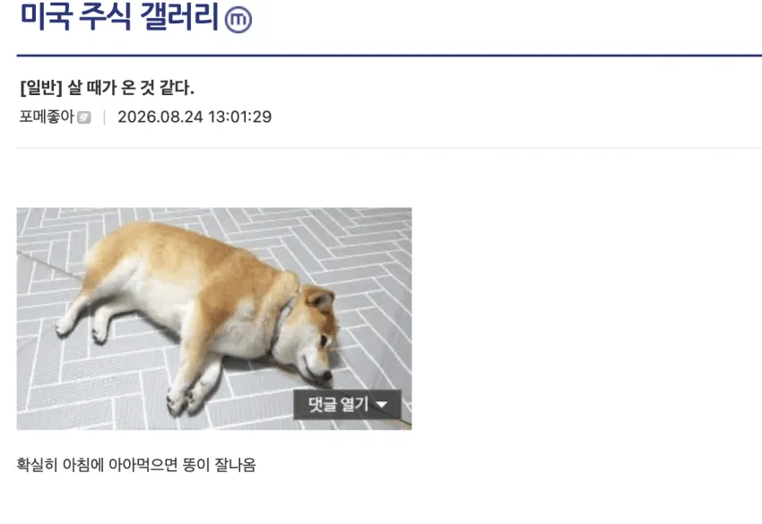 썸네일
