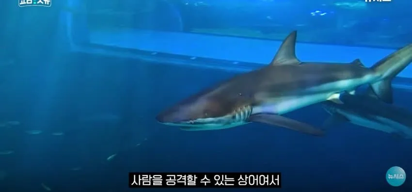 1ebec223e0dc2bae61abe9e74683726d3dd6a5cbef7c8aa494aa613df9b5bd2ebb84fd85a40a06efcf5fd6cc3fd4eb38a175