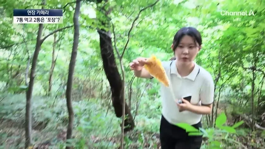 28b9d932da836ffe39ea80ec4683746900adbd3b4a2e03695c733fe639b2014074eb