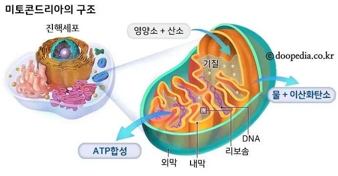 a65614aa1f06b3679234254958c6213fa5ba44514dba53d0a6fc67b4