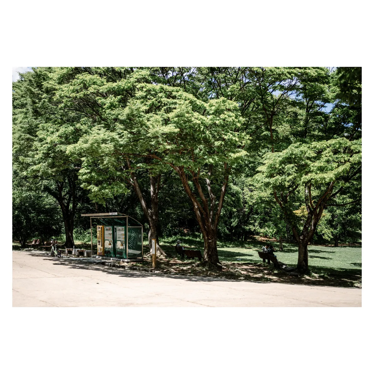 098ef376b0876ef320b5c6b236ef203e72a0a6fc97c9605ec4