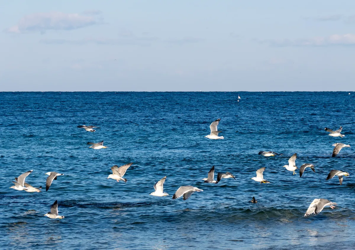 7cea8372bc8668f136e885e2469c75685045881f6620f2bd50d0c9a275163e40f5