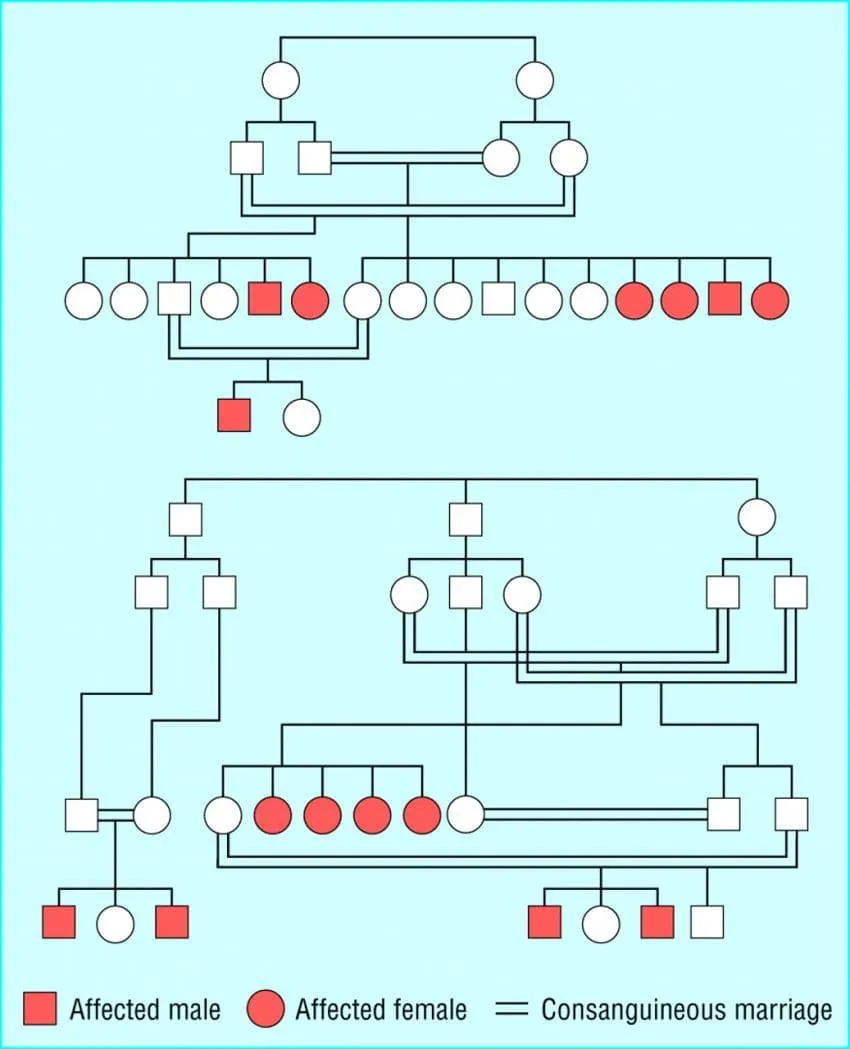 7cf3da36e2f206a26d81f6e44e807c69ea