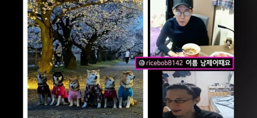 1ebec223e0dc2bae61abe9e74683726d30d6aecbef7789a492a5613df9b5bd2e239badff607a56ef04fd5c8077ff5733468c5c