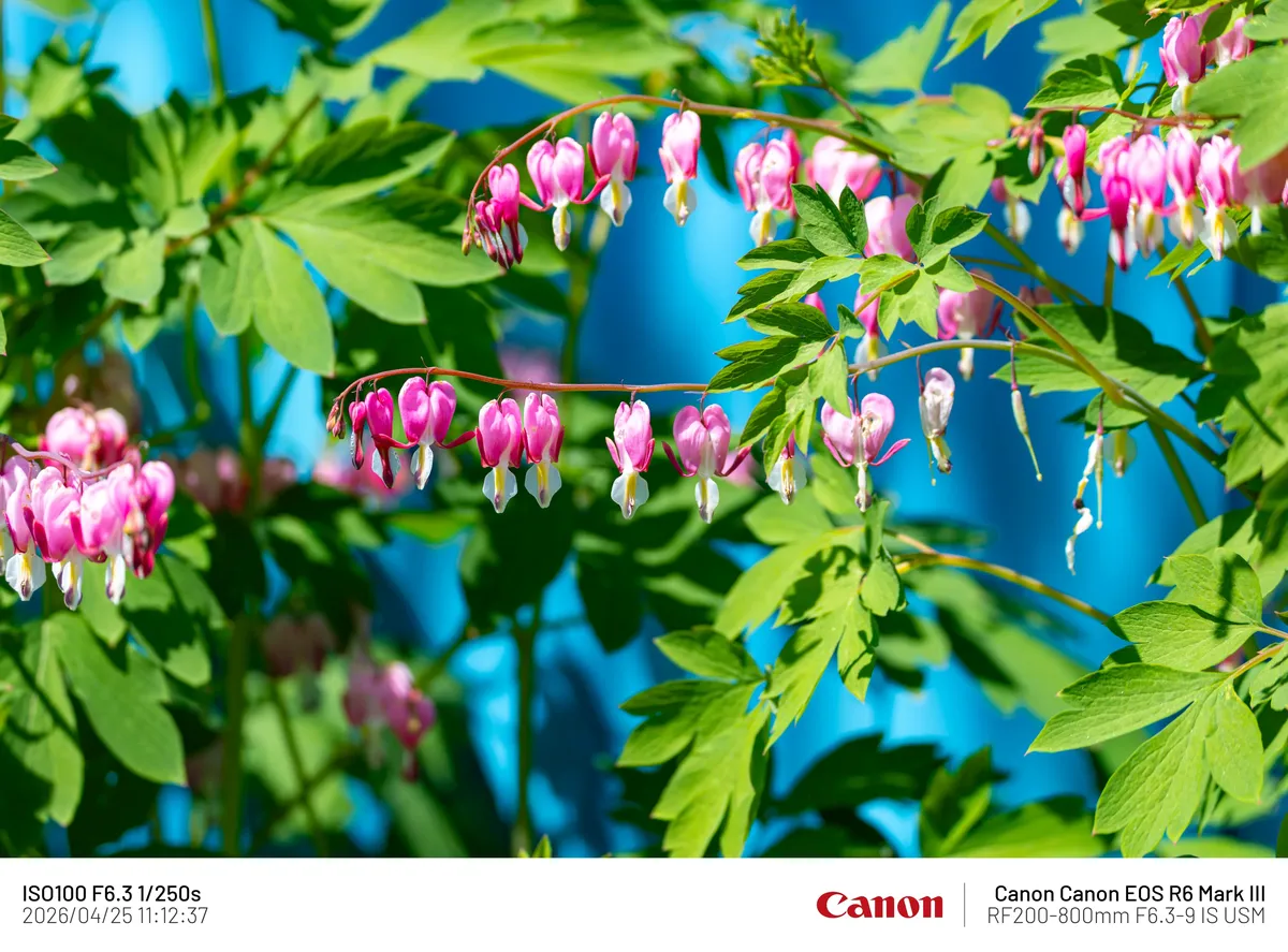 7fed8270b5866af323ef85e5378771652d506a2d5ae1d2159ccf104aece89bf544e5ff