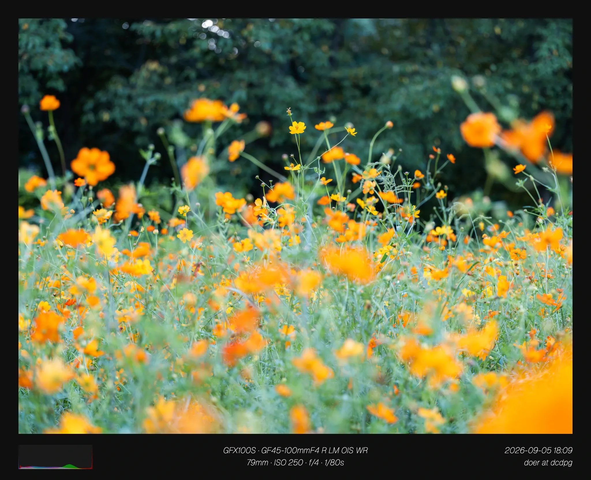 129af61eb7806ff720a8d3b706f11a39b38ce7c895360cfa8d