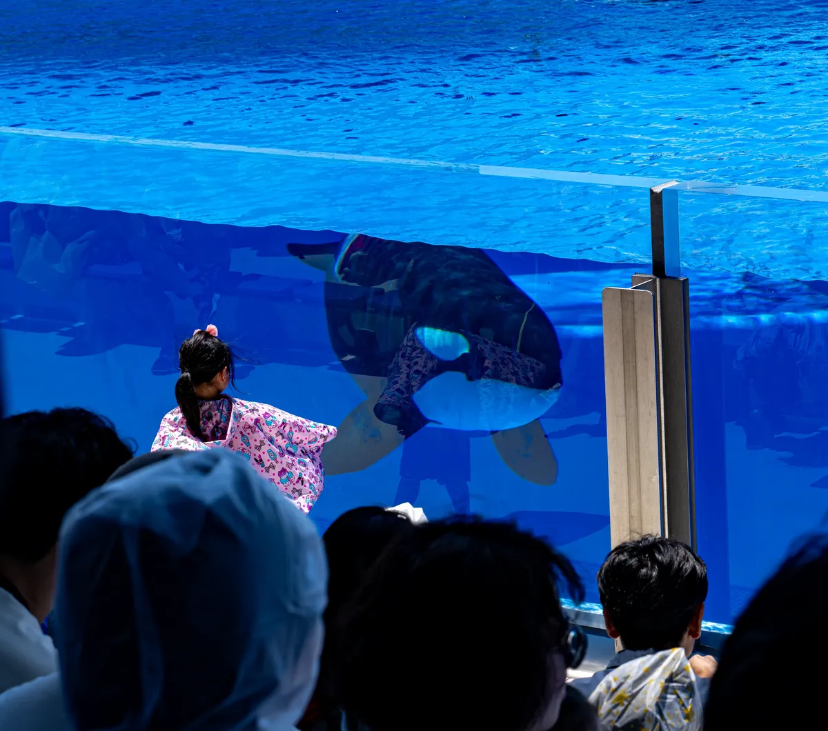 2cef8019b38176b16bbdc69528d527033e85f8450c084c93