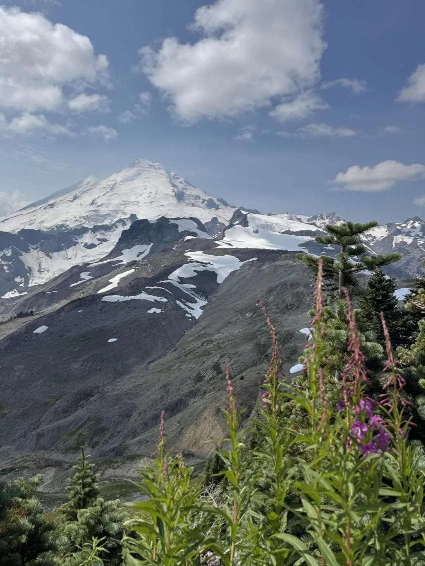 0490f719bc8460f520b5c6b236ef203e7dc7ecea5b94b6e026