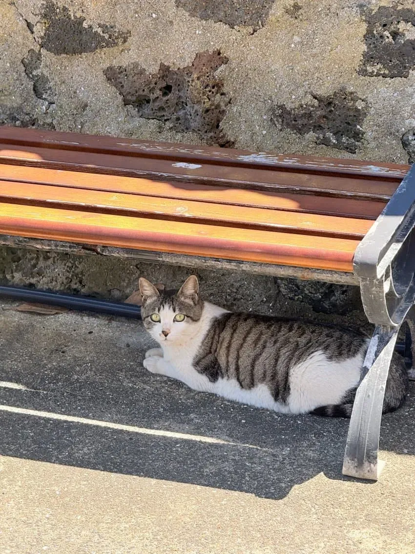 3fb8c32fffd711ab6fb8d38a4480756a63618df28ee9537d534bfaa379efcd741df559f599b57b89879dfda3