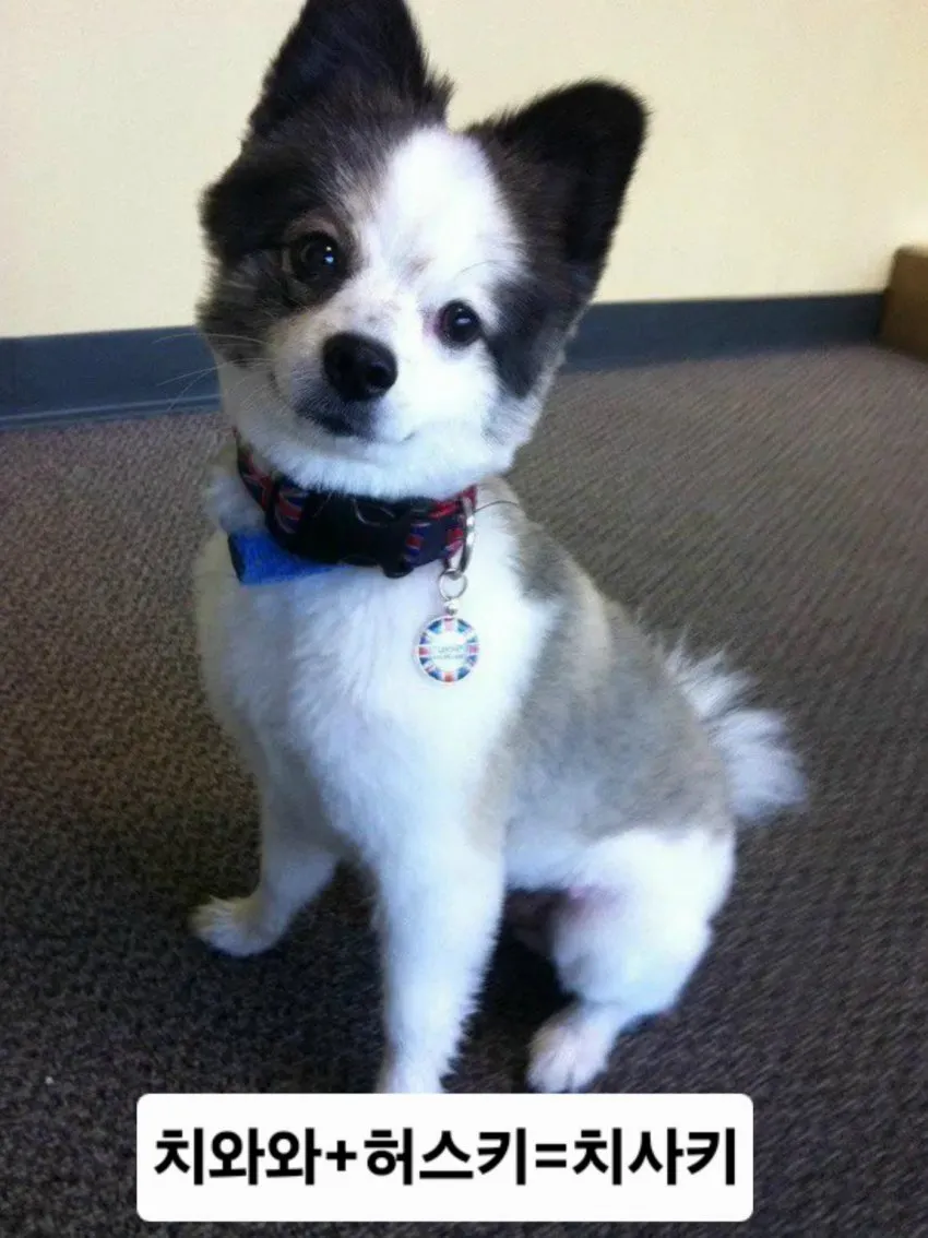 7ced8573bd9c32b6699fe8b115ef0468425e634cb5
