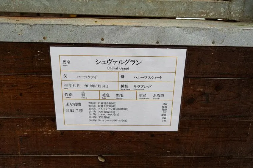 098ef376b7806cf720b5c6b236ef203ef9eff5a7c038e0e595d5