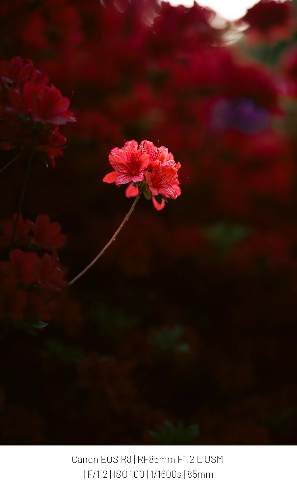 0490f719bc876df120a8d3b706f11a3992fe5d851006cce9bf